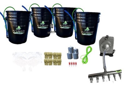 DWC Hydroponics Grow System 4pk Versatile Hydroponics We Grow To Just Lijke You