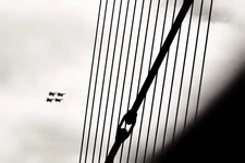 "Angelic Cords" Minimalism Wall Art & Prints