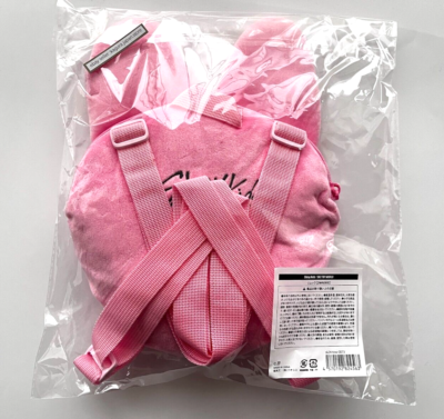 Stray Kids CHANGBIN MINI BACKPACK DWAEKKI Fan Connecting SKZ TOY