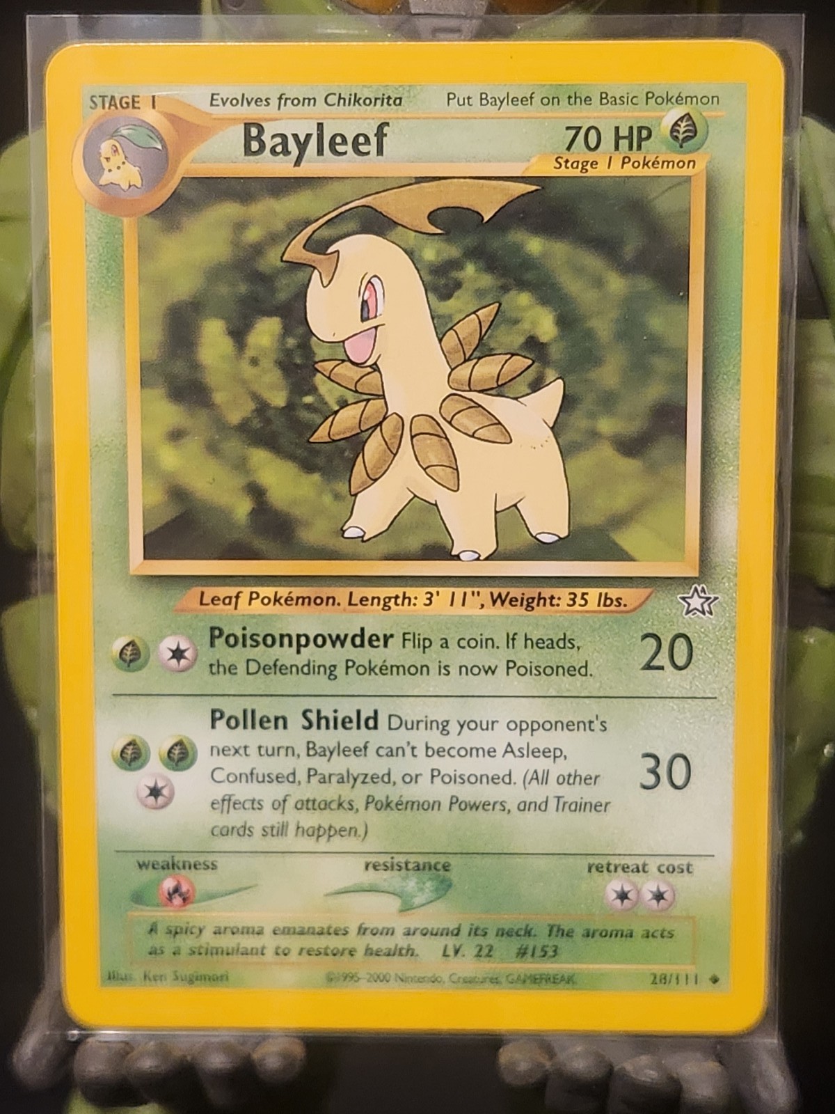 Bayleef (28) Uncommon Neo Genesis 028/111 LP