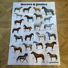 Posters A1 Wildlife Dogs Cats Fish The Guardian Early 2000’s Educational