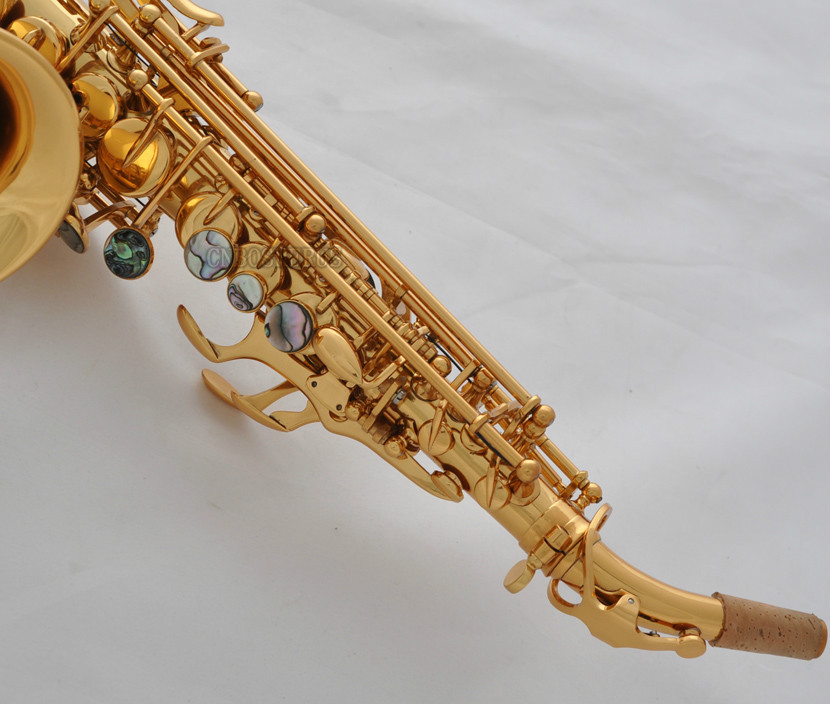 Professional TaiShan Gold Curved Soprano Saxophone Abalone shell Keys