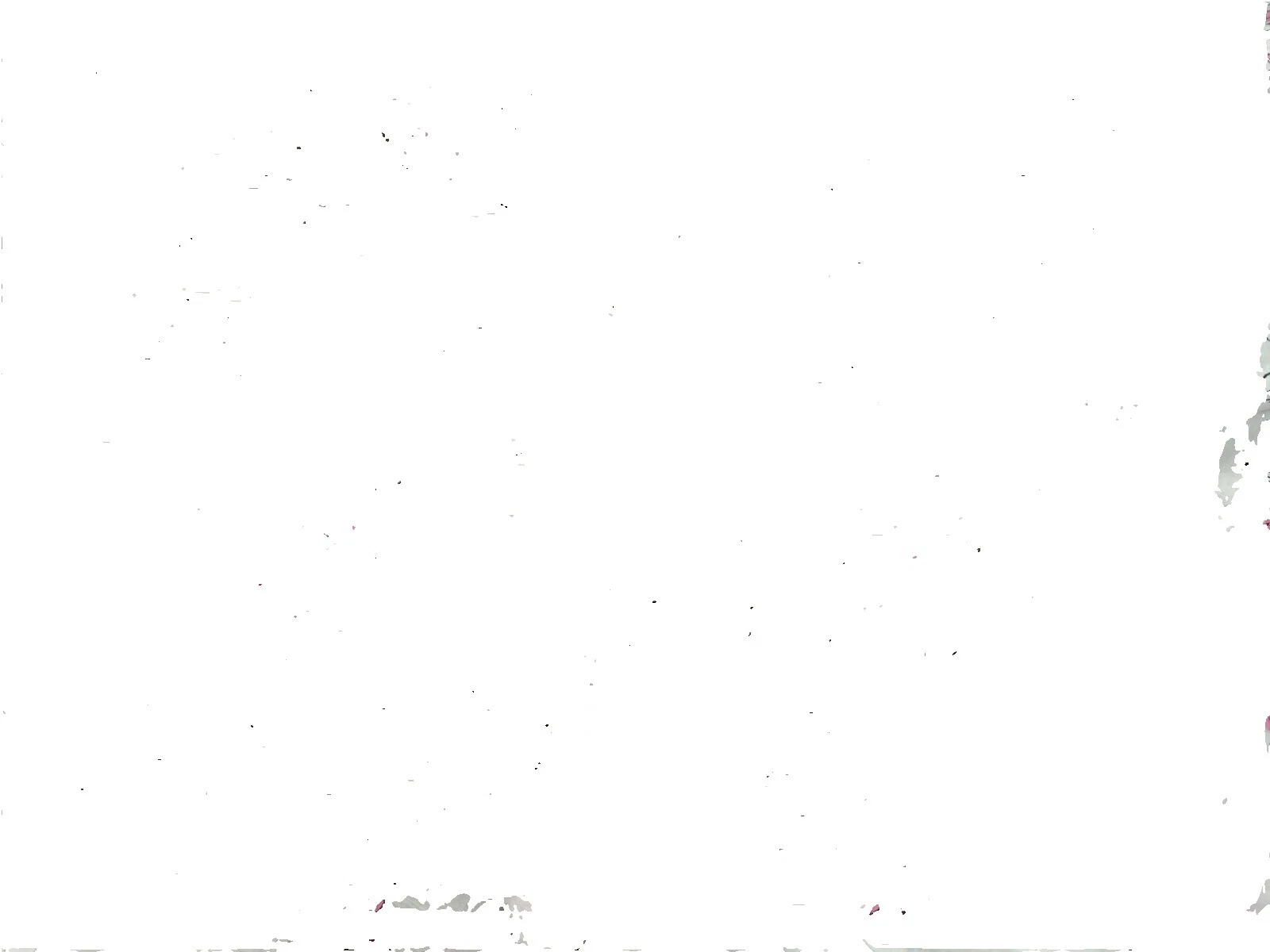 Tela de gasa Multicolor