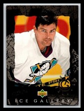 1994-95 Upper Deck Ice Gallery #IG12 Garry Valk