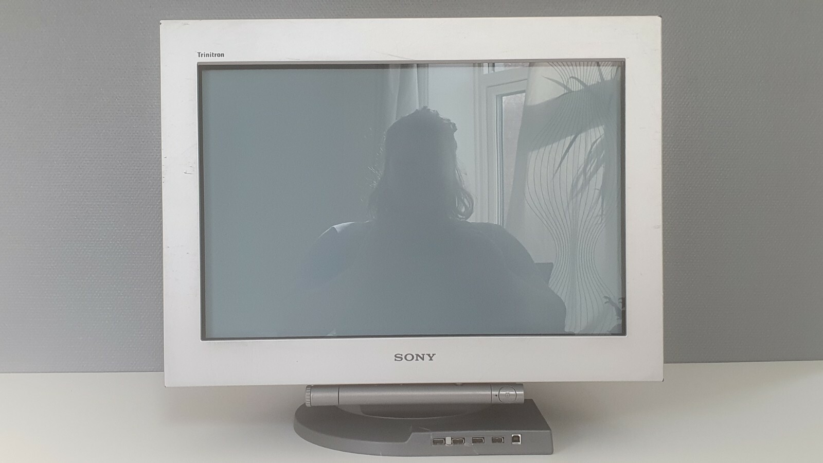 Sony GDM-FW900 CRT Monitor for sale 