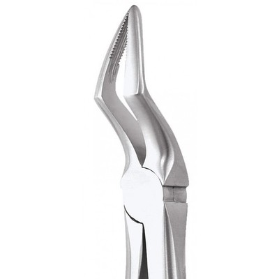 GDC Extraction Forceps Upper Roots - 51A Premium (FX51AP) | eBay
