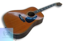 GRECO BY TAMA Folk Guitar 3558P Great for Beginners