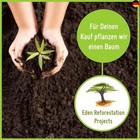Bild 6 von 6