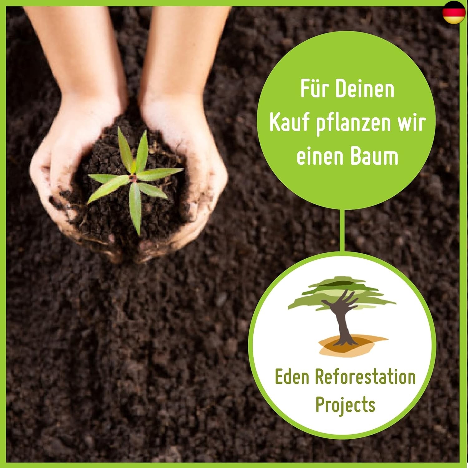 Bild 6 von 6