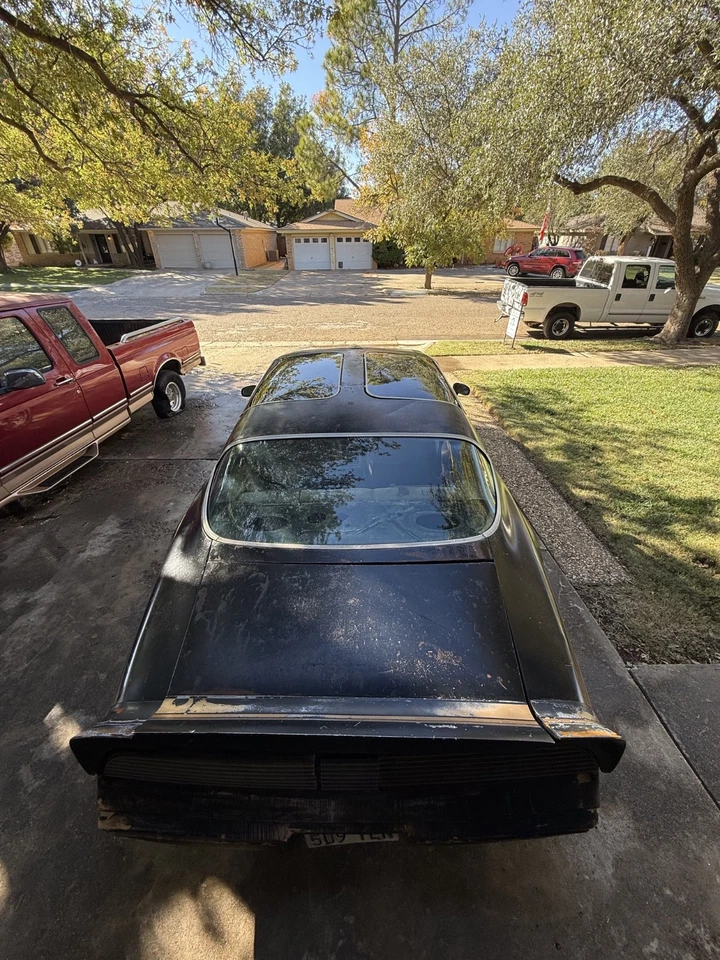 1981 Pontiac Trans Am  - Изображение 3 из 4