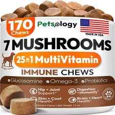 Mushroom for Dogs 170 Chews Turkey Tail Mushroom for Dogs Mushroom