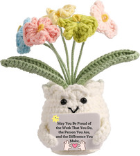Forget-Me-Not Crochet Flower Potted Plant Gift