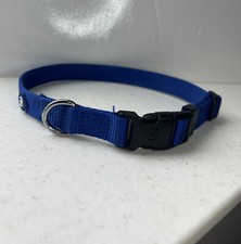 Small royal Blue Puppy / Cat Collar up to 15 Neck length. Baby Dog Collar NEW