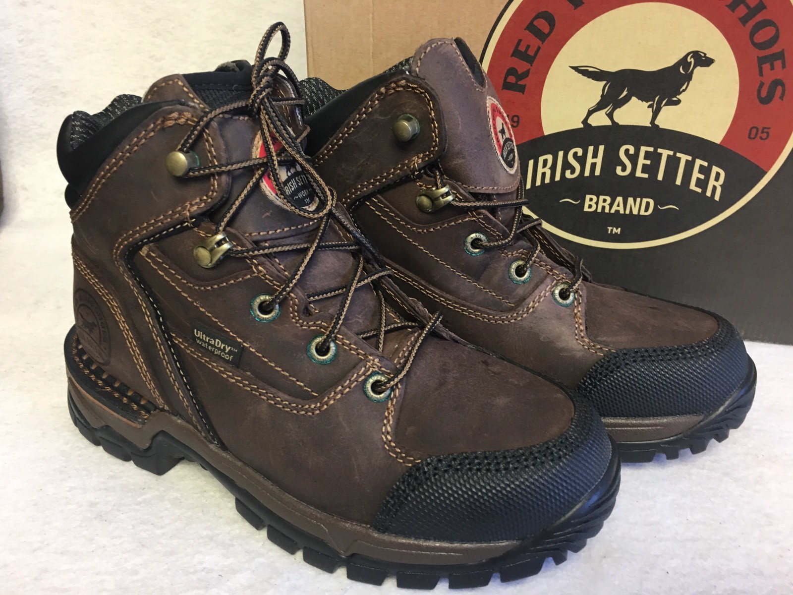 irish setter 83907