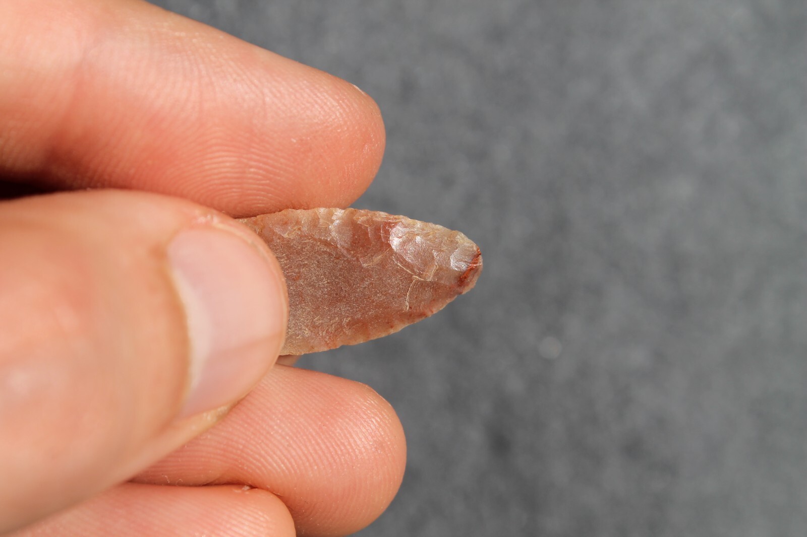 Biface Préhistorique / Néolithique Du Sahara - 115 Mm - Outil En Pierre Taillée - Pièce De Collection