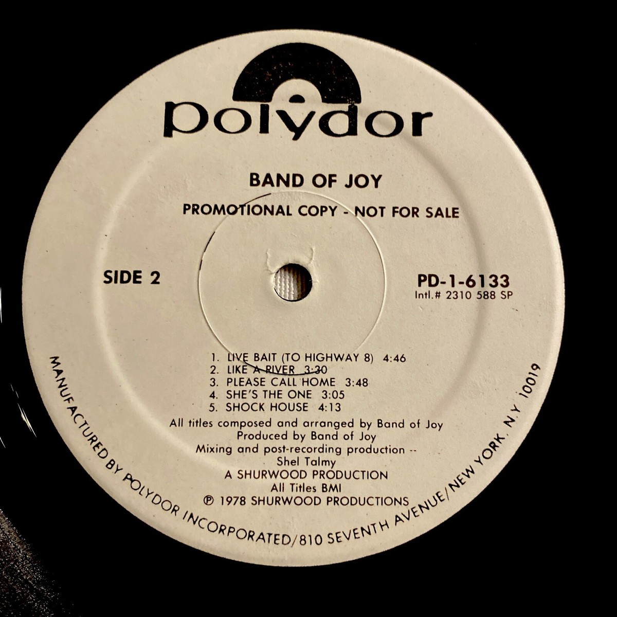 Band Of Joy - Self Titled -Promo Vinyl LP PD-1-6133 Hard Rock 1978