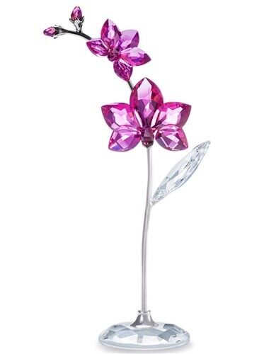 SWAROVSKI LARGE ORCHID 5490755 FLOWER DREAMS | eBay SWAROVSKI LARGE ORCHID 5490755 FLOWER DREAMS | eBay