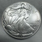 2025 1 oz American Silver Eagle Coin - Flawless - No Reserve !!!