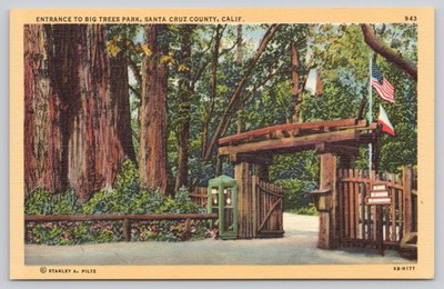 Big Trees Park Entrance Santa Cruz County CA Redwood Postcard Stanley Piltz