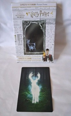 Harry Potter-Expecto Patronum Picture Frame & Displate Mini Metal Wall Poster