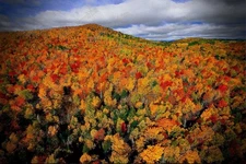 Nature Wall Art oil style-Digital Download  Printable Photography-landscape1