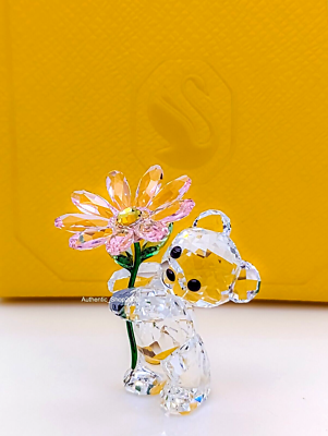 New w Gift Box SWAROVSKI Crystal Kris Bear A Daisy For You