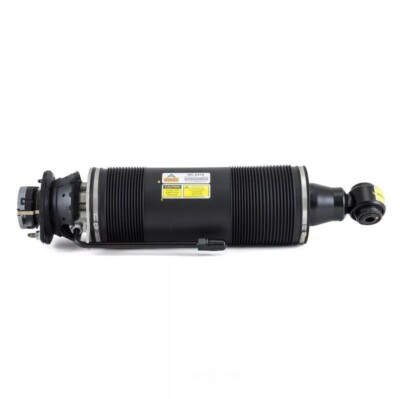 Suspension Strut Assembly Arnott SK-2419 Reman