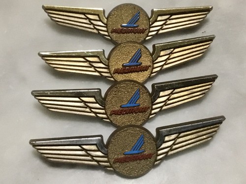 Huge Vintage Piedmont Airlines Collection Lot 113 Items 79 Junior Wings & More - Picture 4 of 24