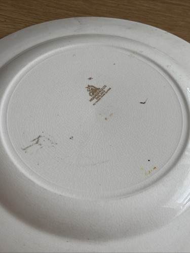 Wedgwood & Co Ltd Trade Mark, 547269. Hand Painted Floral Blue Band Plate. 26cm - Picture 7 of 7