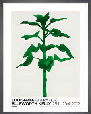 Ellsworth Kelly Louisiana auf Papier Poster Wandbild - 12X16/16X20/18X24/24X36