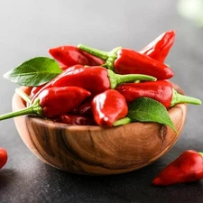 Small Red Chile Hot Pepper, Chile de Árbol, Mild Heat, NON-GMO, FREE SHIPPING