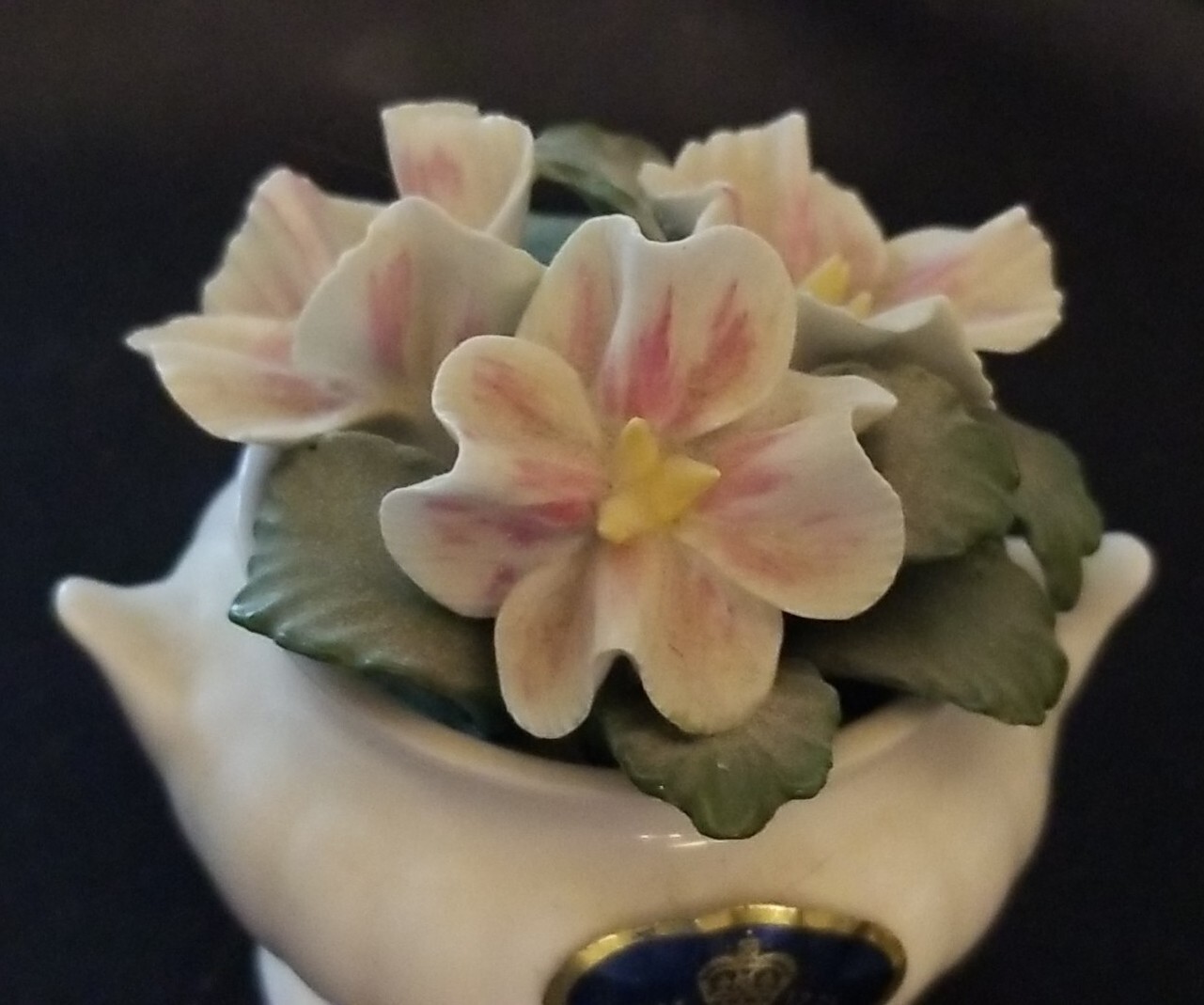 Picture 8 of 10