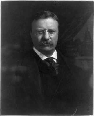 Theodore Roosevelt,President,politician,Colonel,Republican,Progressive,c1913