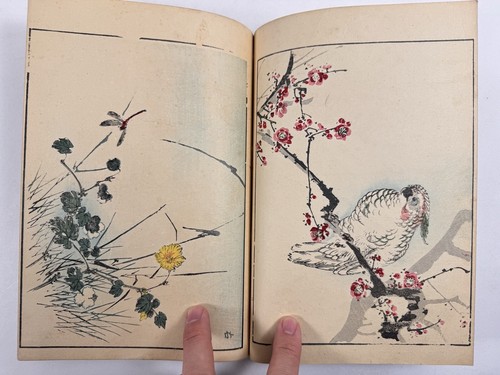 Japanese Woodblock Print Book “Kacho Gashu” Haruna kinzan 1903 Original - Picture 16 of 24
