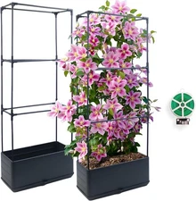 2Pack Raised Garden Bed Planter Boxe with Trellis, 43.4" Self Watering Tomato 