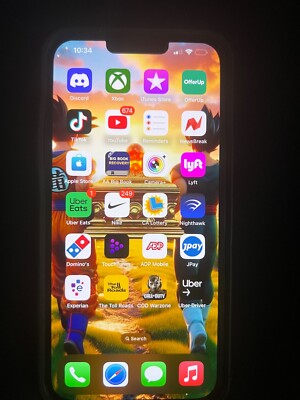 iPhone 13 Pro Max With Tik Tok