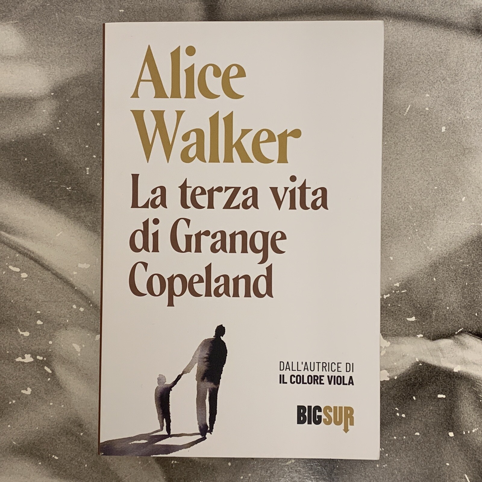 LA TERZA VITA DI GRANGE COPELAND - ALICE WALKER 2021 BIG SUR
