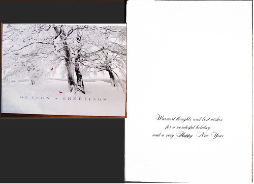 Lot 8 Assorted NWF 8x5.5" Christmas Seasons Greetings Cards w/Env Animals Scenic - Picture 9 of 9