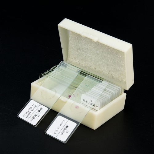 25-200pcs Glass Prepared Microscope Slides Specimen for Education w/ Box - Picture 7 of 34
