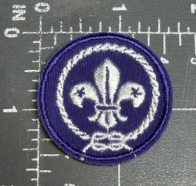 World Organization of the Scout Movement WOSM Patch International ...