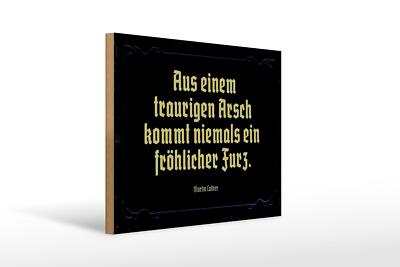 Holzschild Spruch 40x30 cm aus einem traurigen Arsch kommt Deko Schild