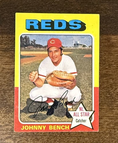 Vintage Johnny Bench HOF Cincinnati Reds Rawlings RL 10
