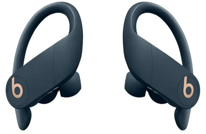 Beats by Dr. Dre Powerbeats Pro Ear-Hook Wireless Headphones