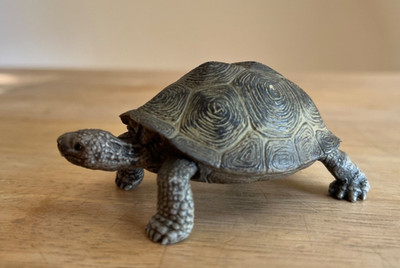SCHLEICH 14824    Wild Life -Serie: Riesenschildkröte - Neu!