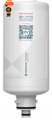 Pentair Rocean Reservoir Replacement Filter Cartridge for Filter, White 