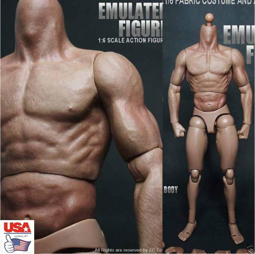 hottoys製素体 1/6フィギュア ZC Toy 1/6 Muscular Body Fit 12