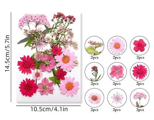 Dried Pressed Flowers Natural Epoxy Resin Candle Nail Art Scrapbooking Craft AU - Picture 43 of 210