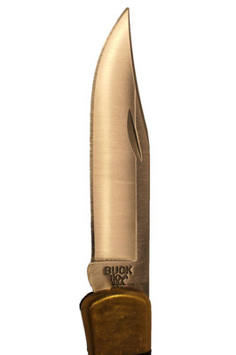 Buck 110 Folding Knife With Leather Sheath. USA 2023