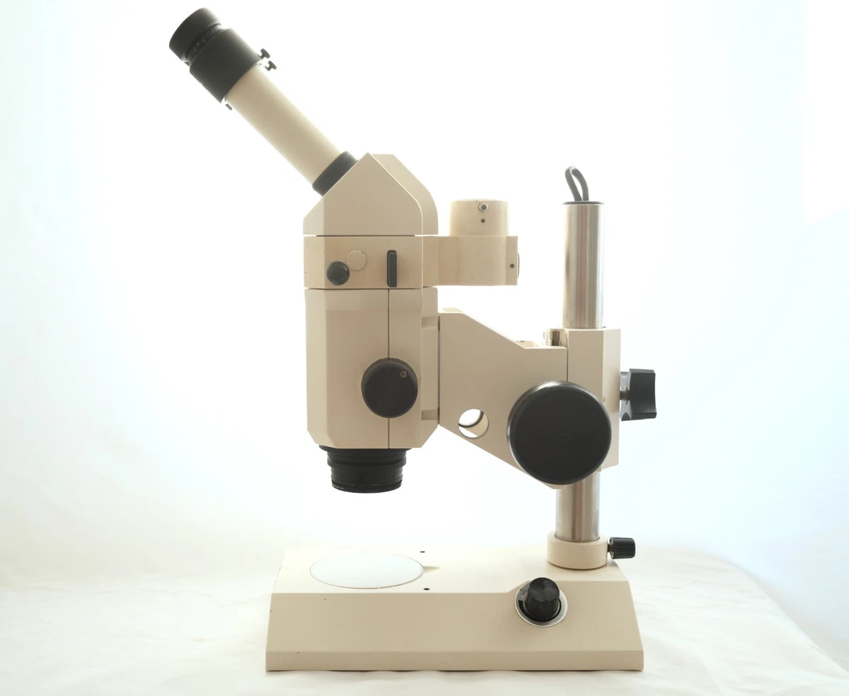 Zeiss Stemi SV6 ZOOM microscopio estéreo trinocular