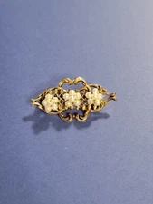 Vintage Plastic Pinback Pim